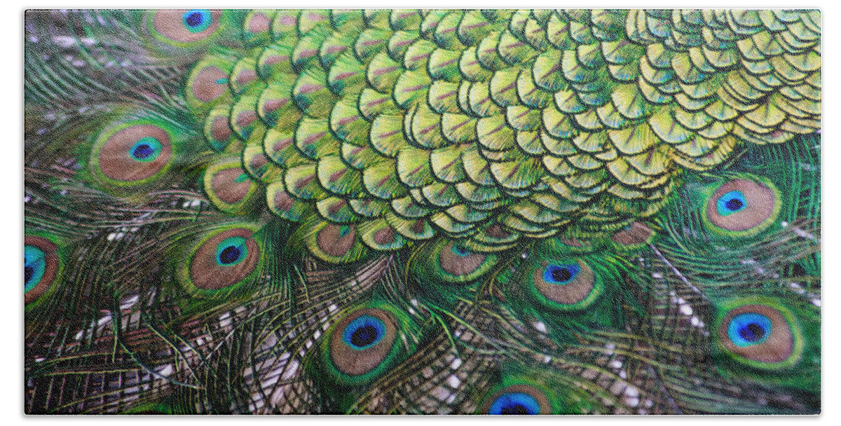Male Bath Towel featuring the photograph Peacock display abstract by Eti Reid