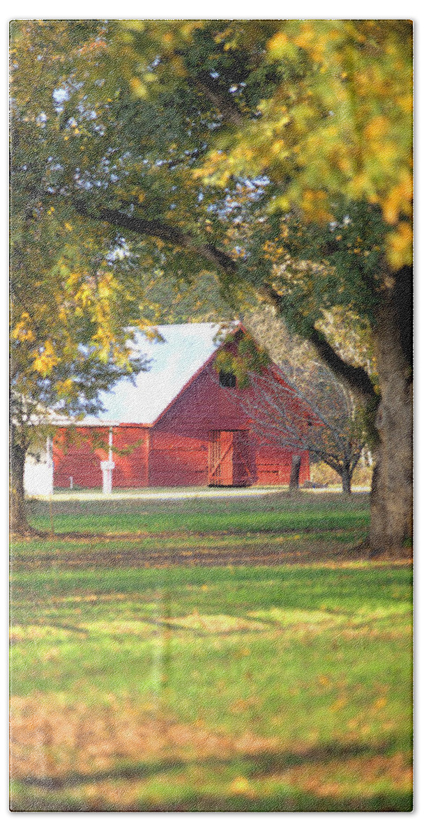 3286 Bath Towel featuring the photograph Pecan Orchard Barn by Gordon Elwell