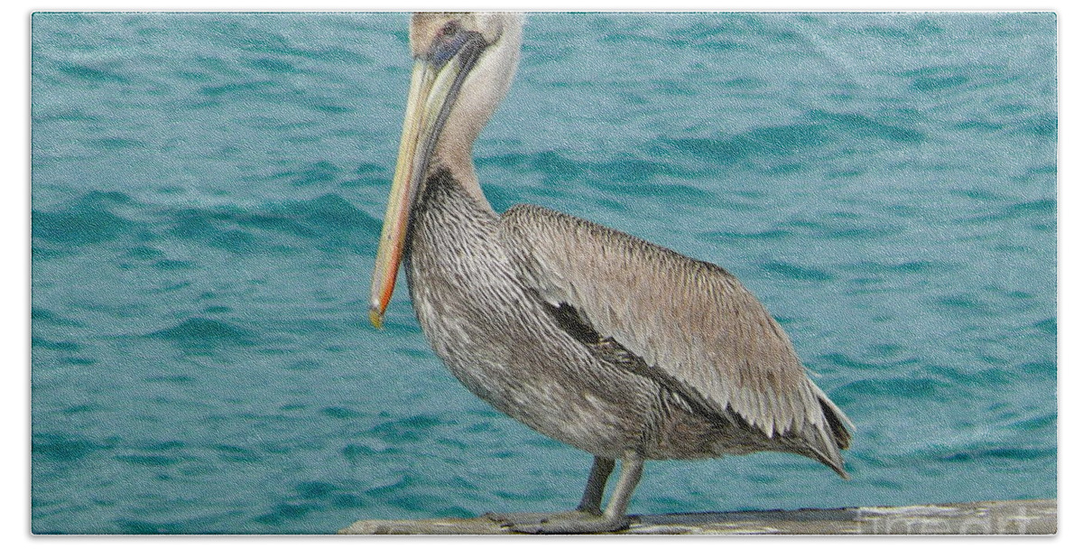 Pelican Bath Towel featuring the photograph Pelican by Amanda Mohler