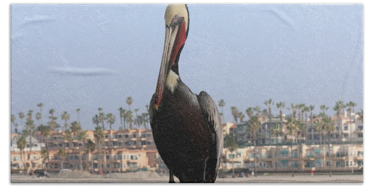 Wild Bath Towel featuring the photograph Pelican by Christy Pooschke