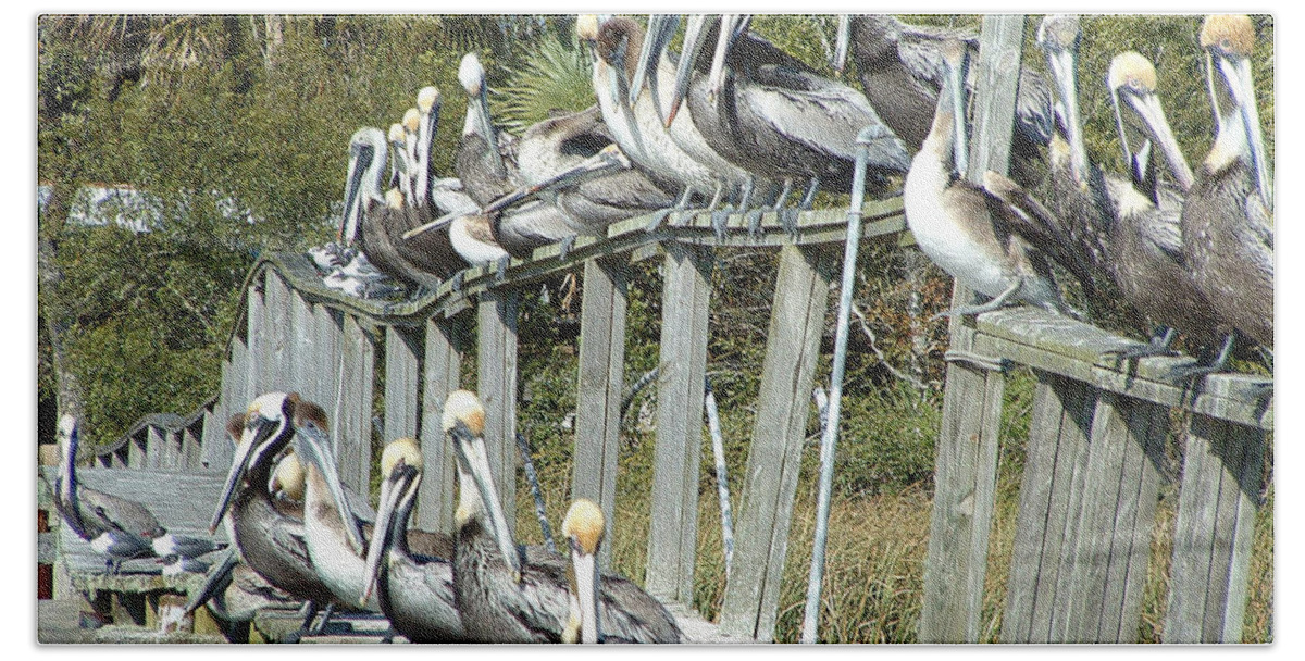 Pelican Hand Towel featuring the photograph Pelican Party by Audrey Peaty