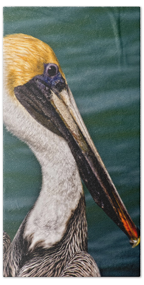 2007 Hand Towel featuring the photograph Pelican Profile No.40 by Mark Myhaver