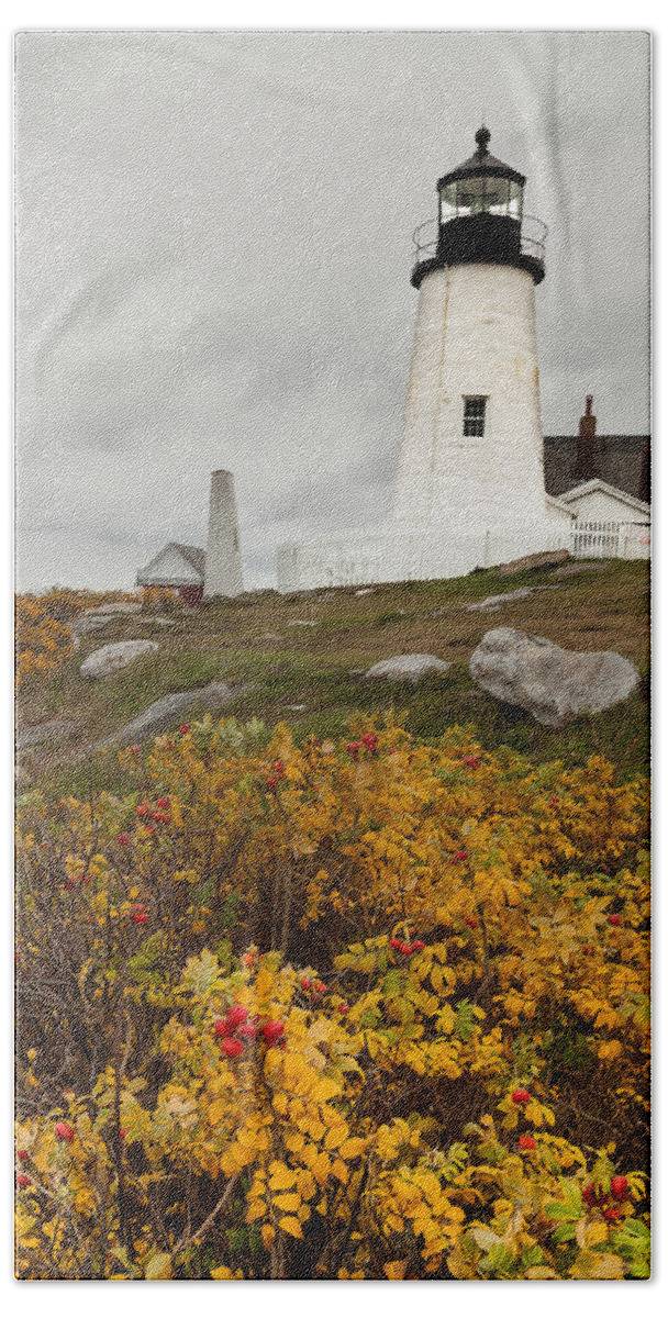 Lighthouse Bath Towel featuring the photograph Pemaquid Point Lighthouse and Sea Roses by David Smith