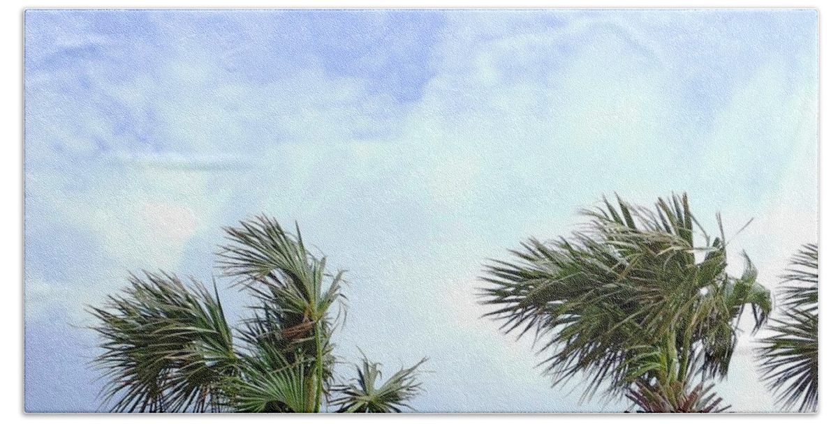 Palm Tree Hand Towel featuring the photograph Pensacola Palms by Lizi Beard-Ward