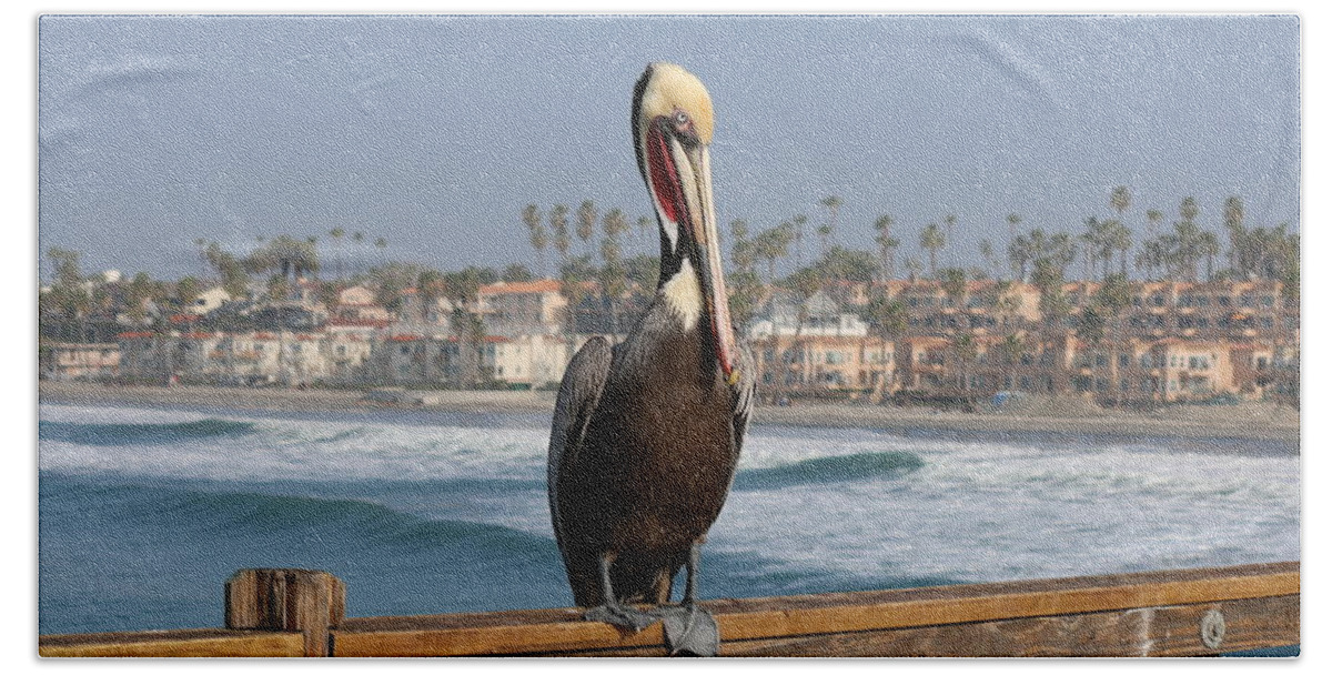 Wild Hand Towel featuring the photograph Perched on the Pier by Christy Pooschke