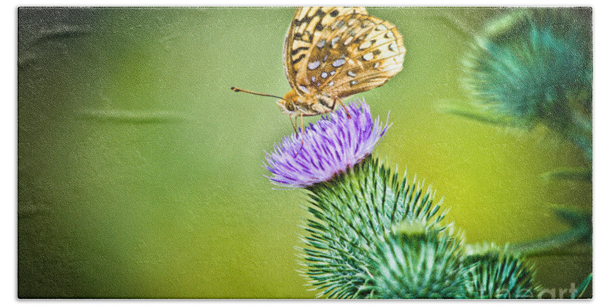 Great Spangled Fritillary Butterfly Bath Towel featuring the photograph Perfect Butterfly by Cheryl Baxter