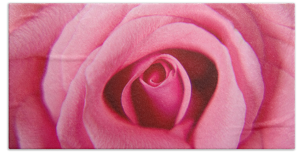 Pink Hand Towel featuring the photograph Perfect Pink Rose by Lisa Chorny