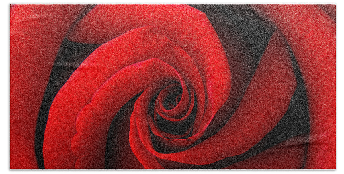 Red Hand Towel featuring the photograph Perfect Red Rose by Lisa Chorny