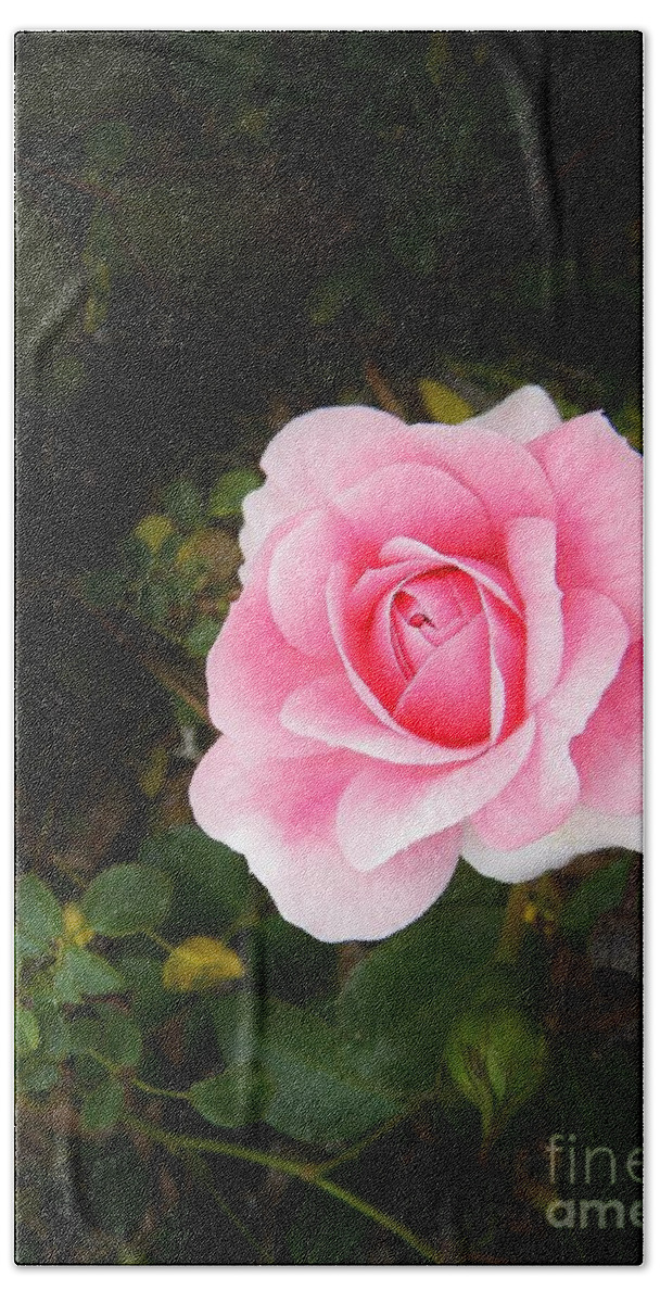 Springtime Hand Towel featuring the photograph Personally Pink by Matthew Seufer