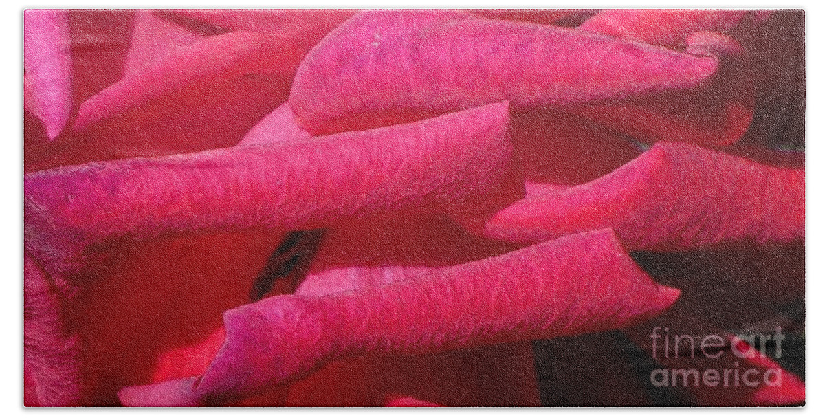 Red Bath Towel featuring the photograph Petals by Nora Boghossian
