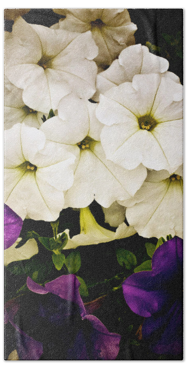 Flowers Hand Towel featuring the photograph Petunias by Susan Kinney