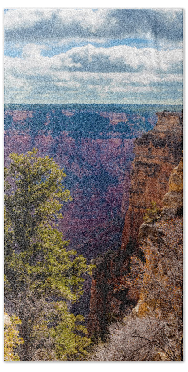 Arizona Bath Towel featuring the photograph Pines and Cliffs at the Grand Canyon by Ed Gleichman