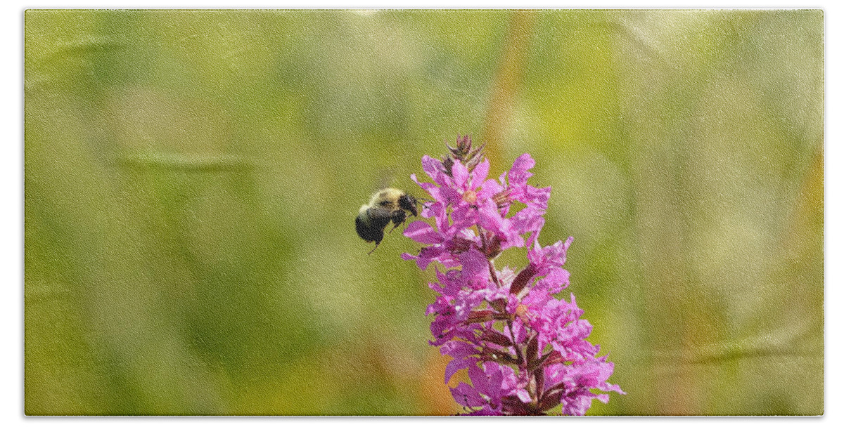 Bee Hand Towel featuring the photograph Pink and Gold by David Porteus