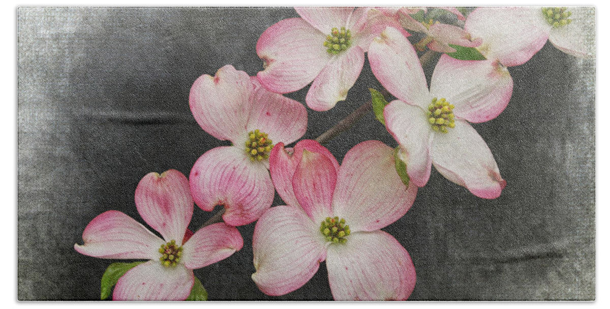 Art Bath Towel featuring the photograph Pink and White Dogwood Tree Blossoms by Randall Nyhof