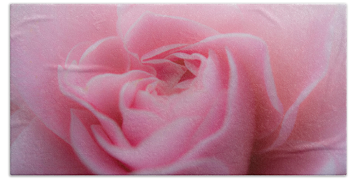 Rose Hand Towel featuring the photograph Pink Beauty by Agnes Caruso