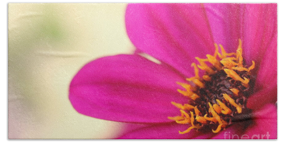 Beautiful Hand Towel featuring the photograph Pink Flower by Amanda Mohler