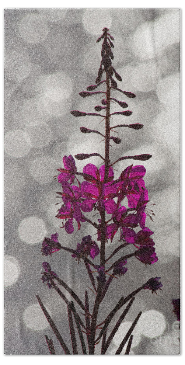 Fireweed Bath Towel featuring the photograph Pink by Heiko Koehrer-Wagner