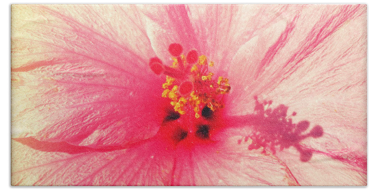 Florida Bath Towel featuring the photograph Pink Hibiscus by Chris Andruskiewicz