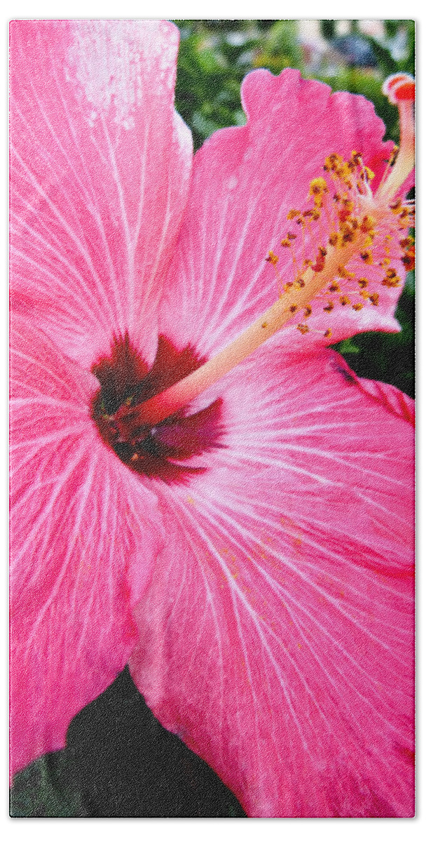 Macro Bath Towel featuring the photograph Pink Hibiscus by Pete Trenholm