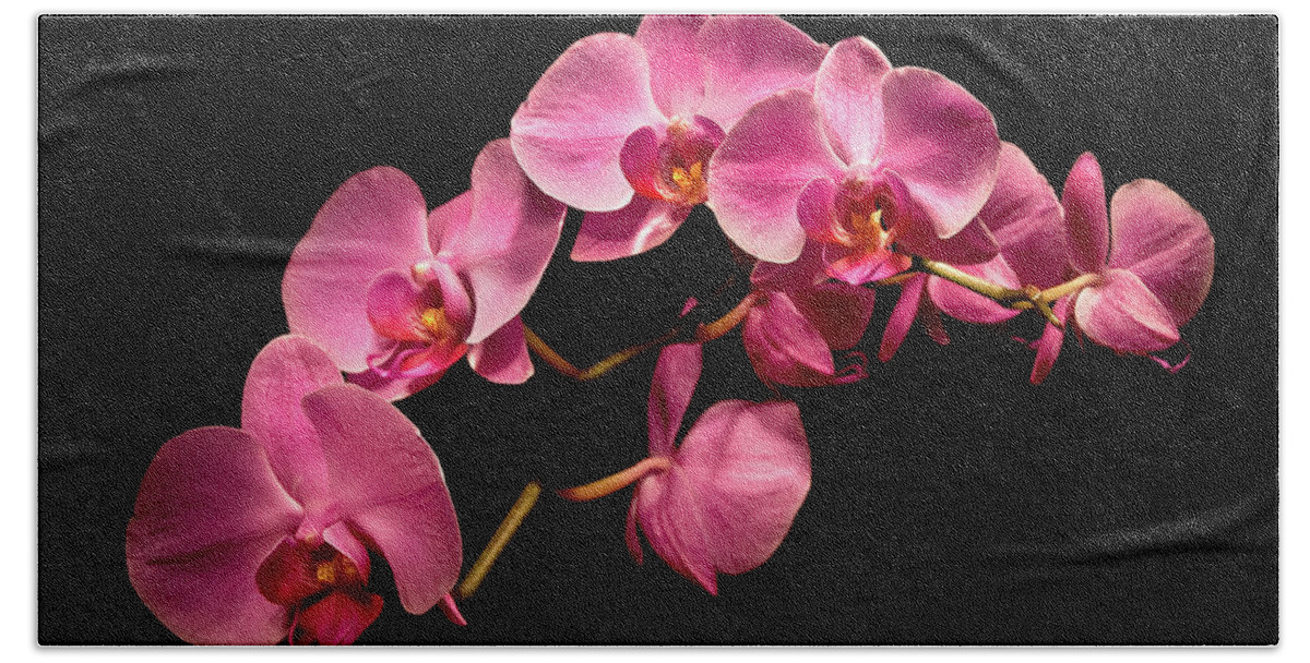 Michigan Fine Art Photographer Bath Towel featuring the photograph Pink Orchids 3 by Onyonet Photo studios