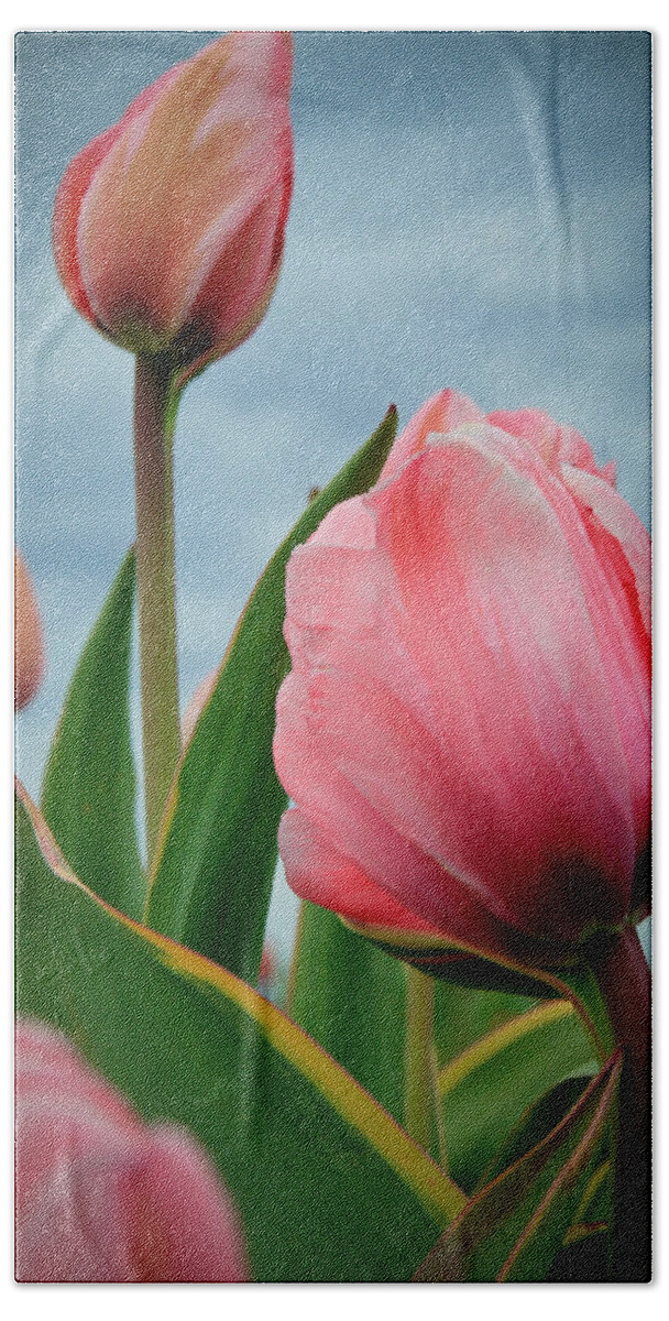 Tulips Hand Towel featuring the photograph Pink Passion by Athena Mckinzie