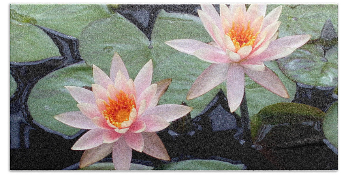 Water Lilies Bath Towel featuring the photograph Pink Pastel Water Lilies by Living Color Photography Lorraine Lynch