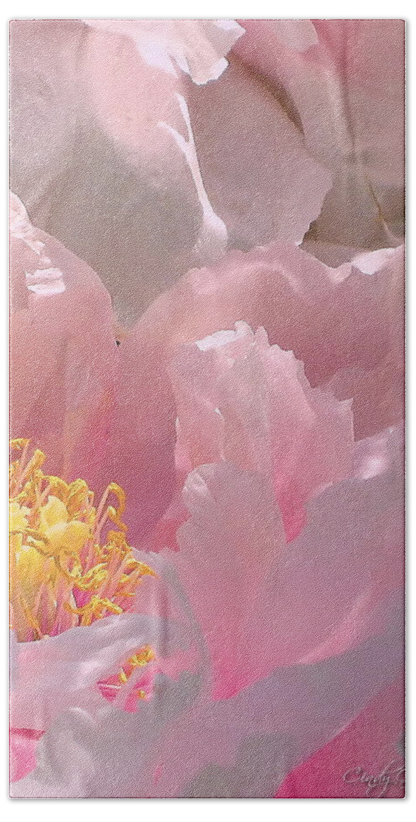 Pink Hand Towel featuring the photograph Pink Peonies 2 by Cindy Greenstein