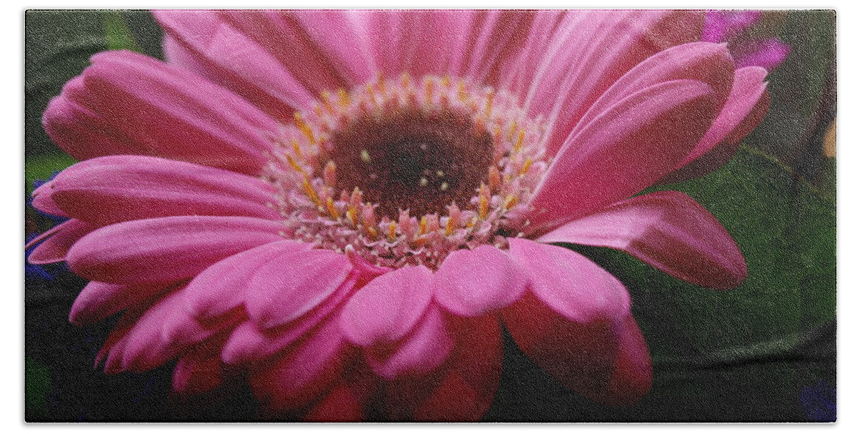 Pink Bath Towel featuring the photograph Pink Petal Explosion by Vivian Martin