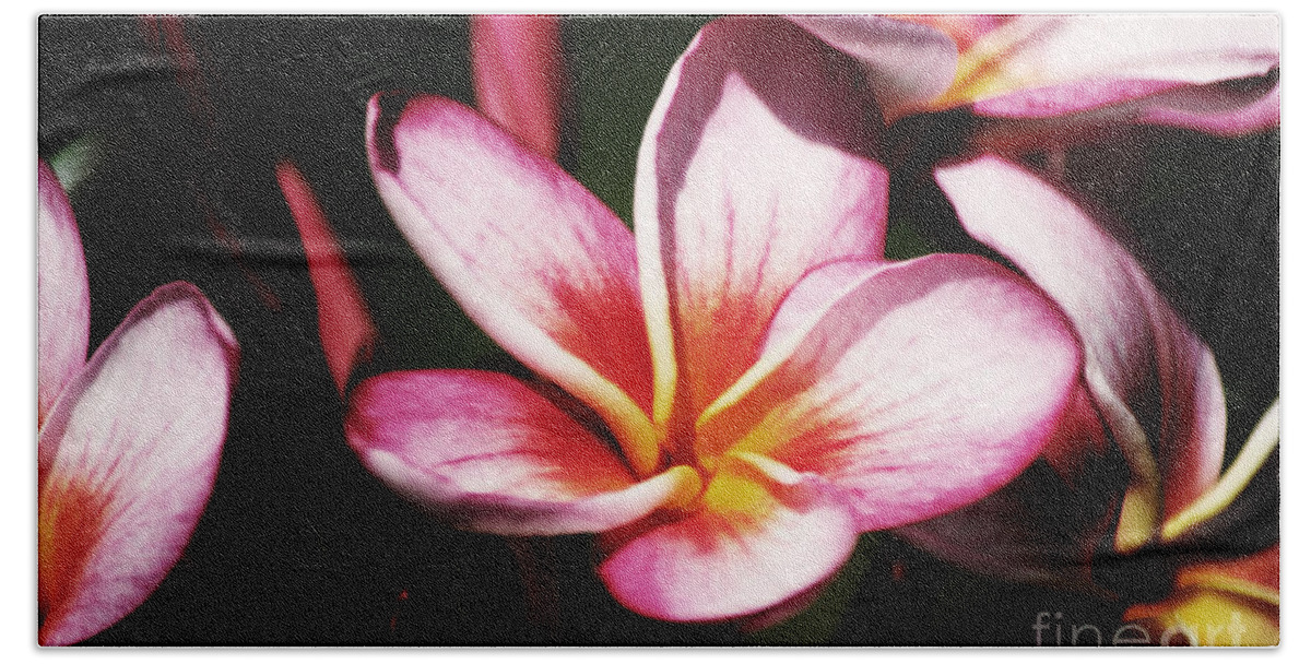 Plumeria Hand Towel featuring the photograph Pink Plumeria by Angela DeFrias