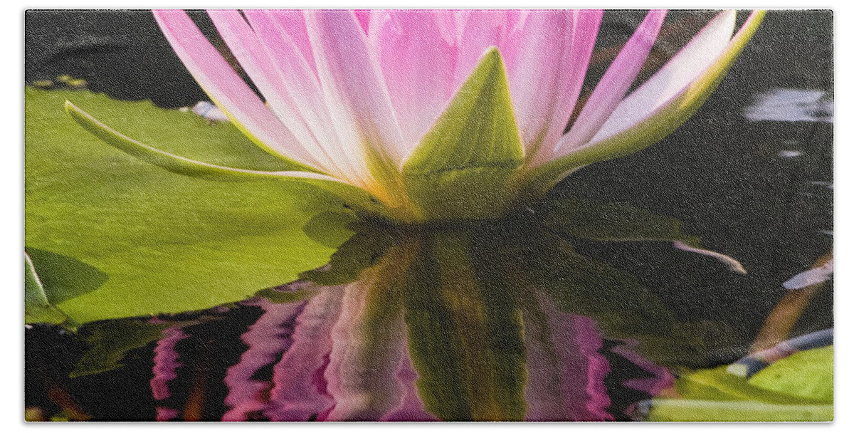 Pink Bath Towel featuring the photograph Pink Reflection by Jean-Pierre Ducondi