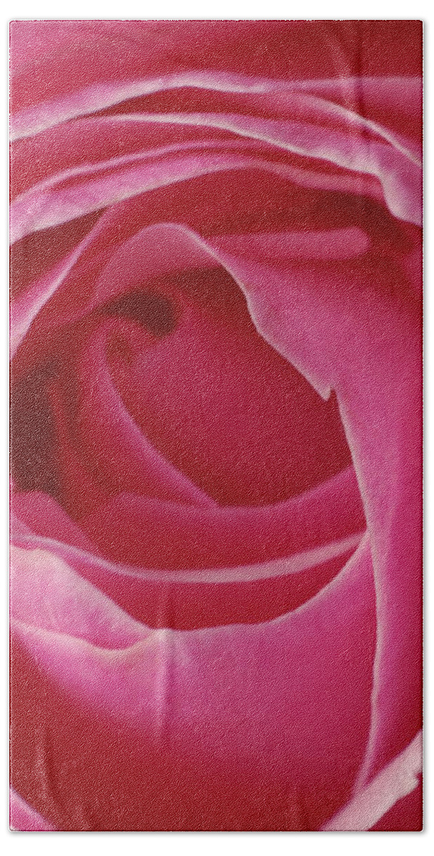 Blossom Bath Towel featuring the photograph Pink Rose DOF by Arthur Fix