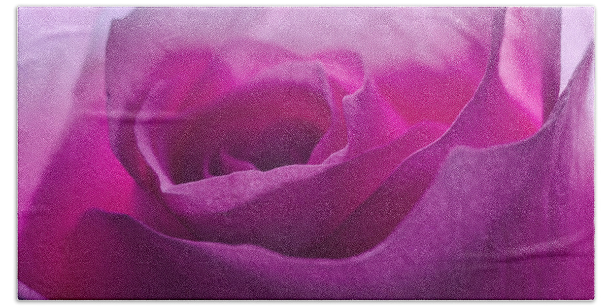 Flower Hand Towel featuring the photograph Pink Rose by Jim Shackett