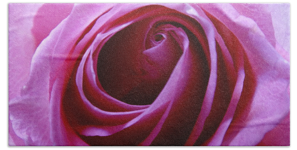 Rose Bath Towel featuring the photograph Pink Rose by Joseph Baril