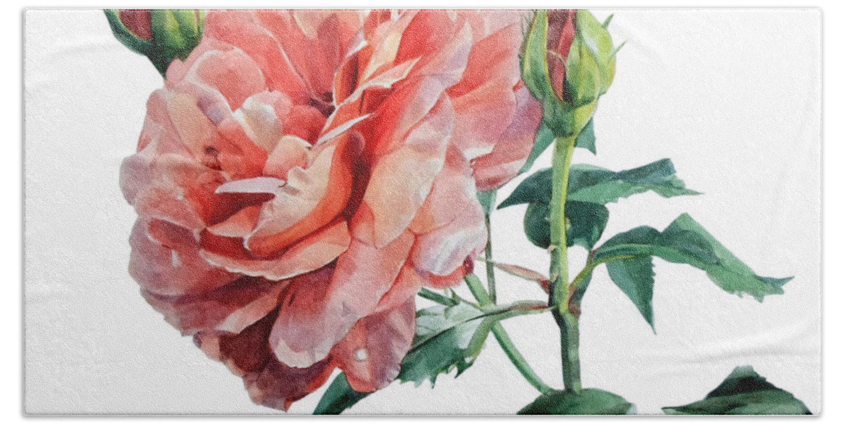 Watercolors Hand Towel featuring the painting Watercolor of an English Pink Rose by Greta Corens