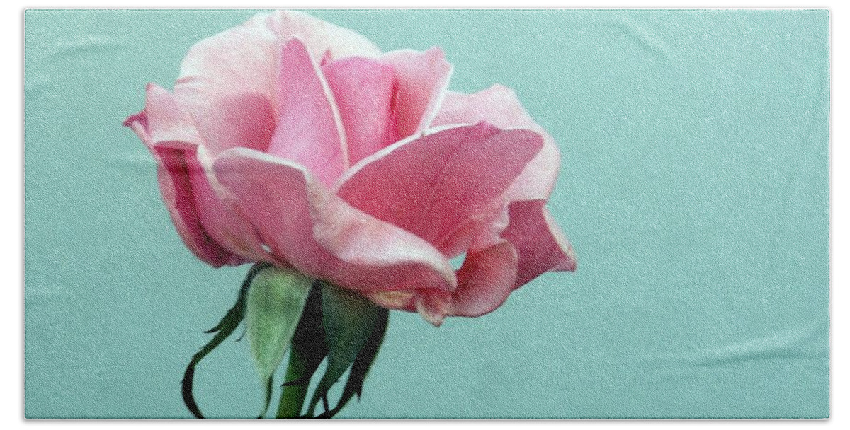 Pink Bath Towel featuring the photograph Pink Rose on Aqua Wall by Valerie Reeves