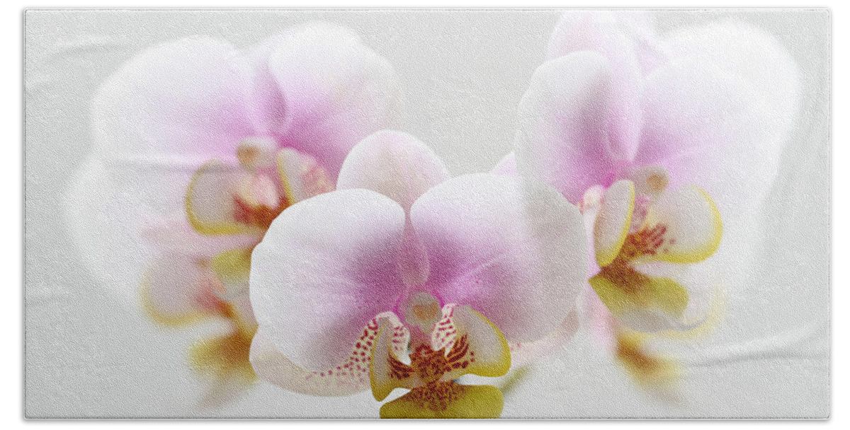 Orchid Bath Towel featuring the photograph Pink Sensation by Juergen Roth