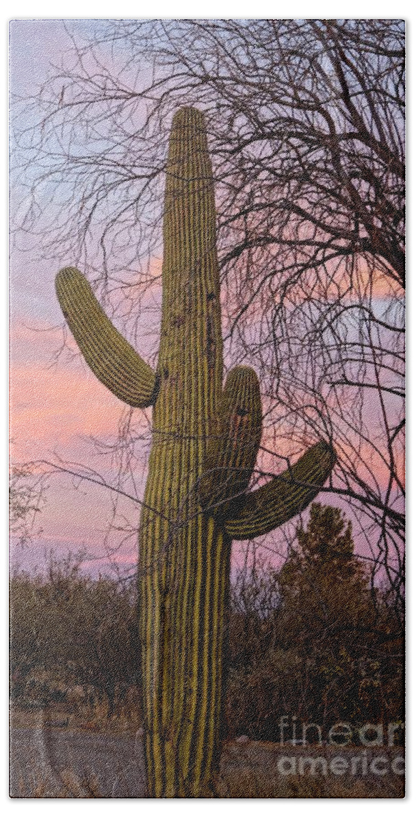Tree Hand Towel featuring the photograph Pink Sunset Saguaro by Kerri Mortenson