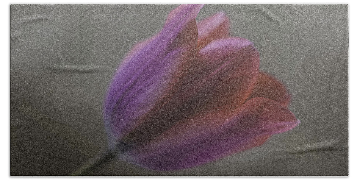 Pink Tulip Hand Towel featuring the photograph Pink Tulip by Ron Roberts