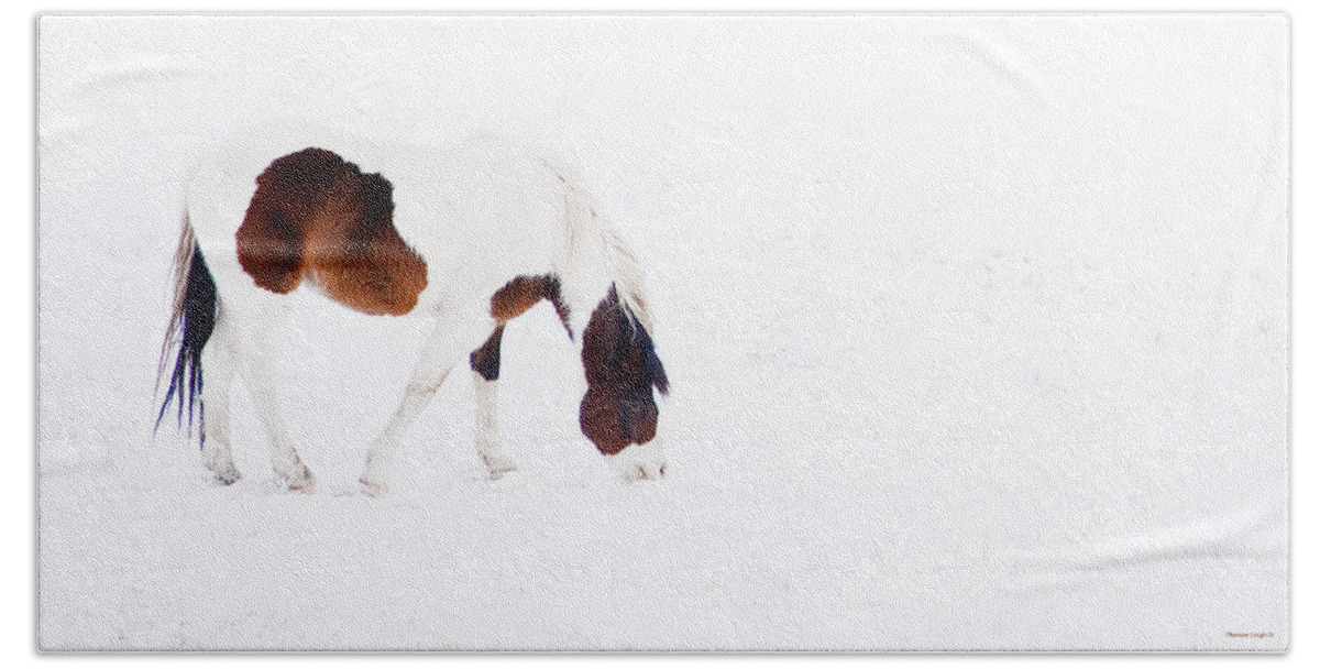 Small Horse Bath Towel featuring the photograph Pinto Pony by Theresa Tahara
