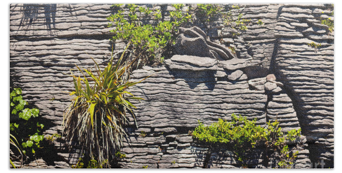 South Island Hand Towel featuring the photograph Pioneer plants in Pancake Rocks of Punakaiki NZ by Stephan Pietzko