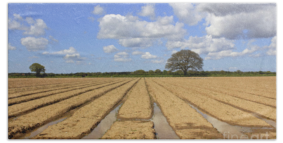 Ploughed Field Uk English British Landscape Countryside Furrow Tracks Converging Lines Earth Agriculture Farming Farmland Fertile Oak Fluffy Clouds Blue Sky Summer Bath Towel featuring the photograph Ploughed Field by Julia Gavin
