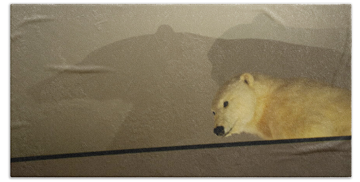Natural History Bath Towel featuring the photograph Polar Bear Shadows by Kenny Glover
