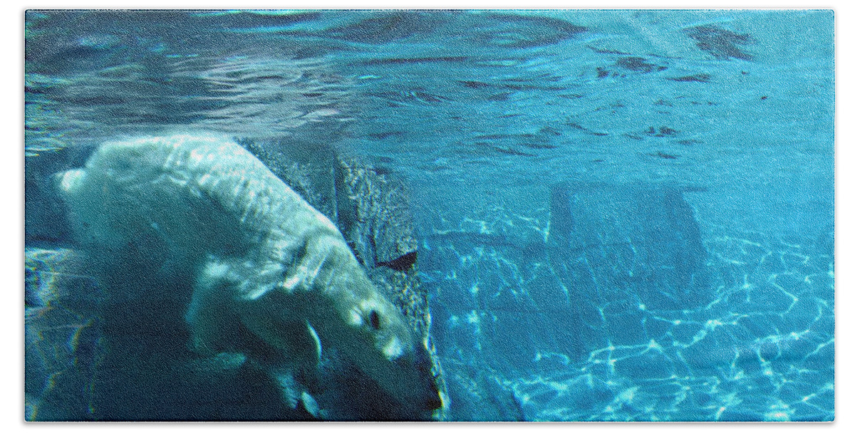 Wild Life Bath Towel featuring the photograph Polar Bear by Steve Karol