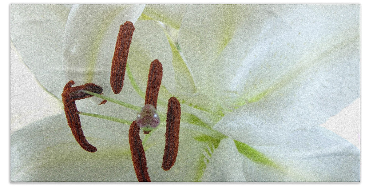 Photography Bath Towel featuring the photograph Pollinated white tiger lily by Julianne Felton