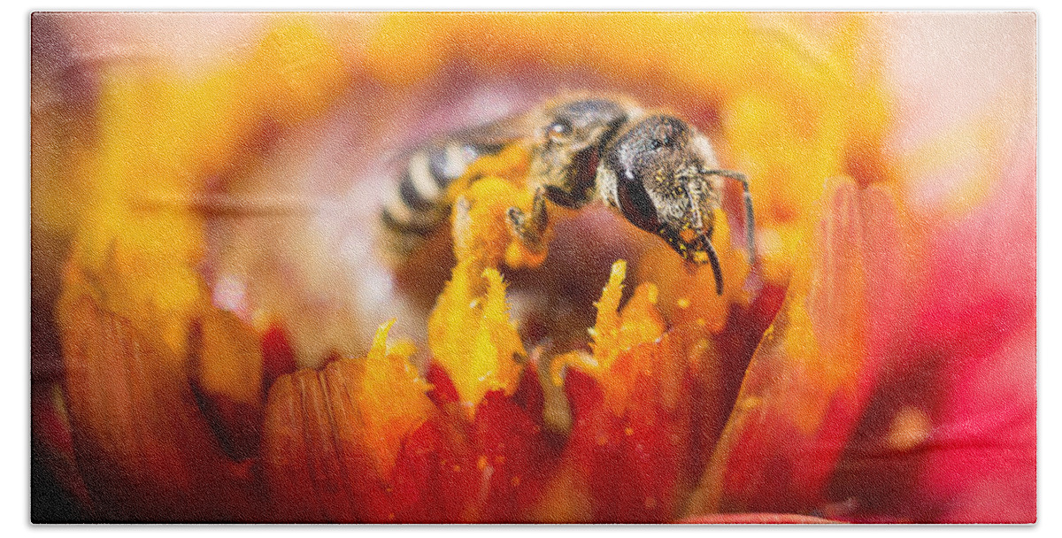 Pollination Bath Towel featuring the photograph Pollination by Priya Ghose