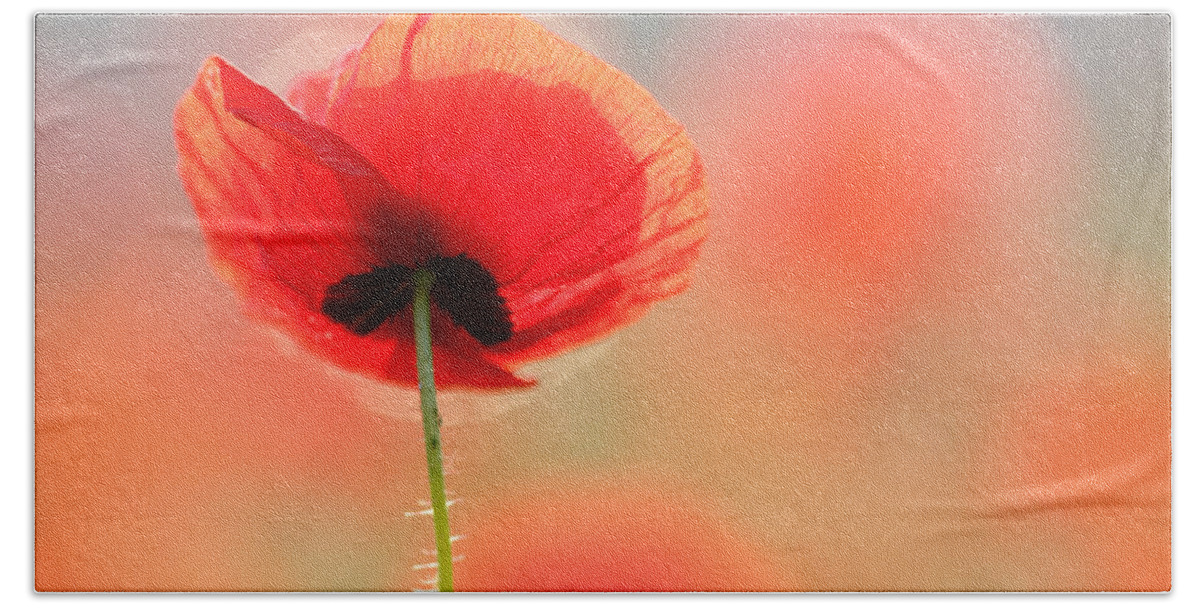 Bokeh Hand Towel featuring the photograph Poppy Dream by Roeselien Raimond