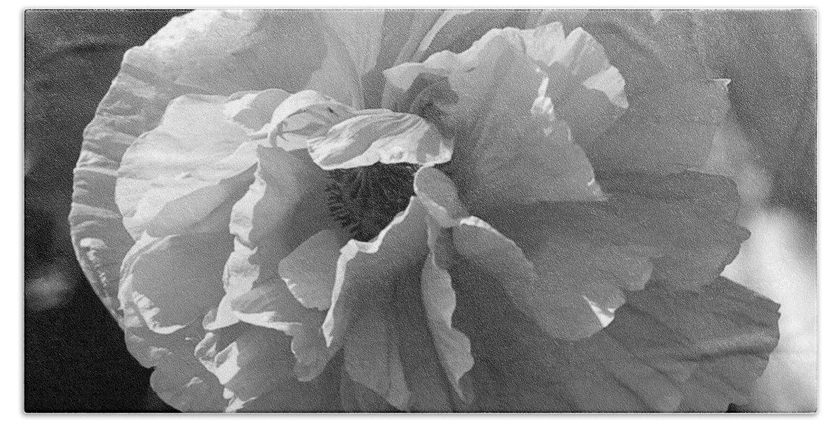Black And White Bath Towel featuring the photograph Poppy in Black and White by Carol Groenen
