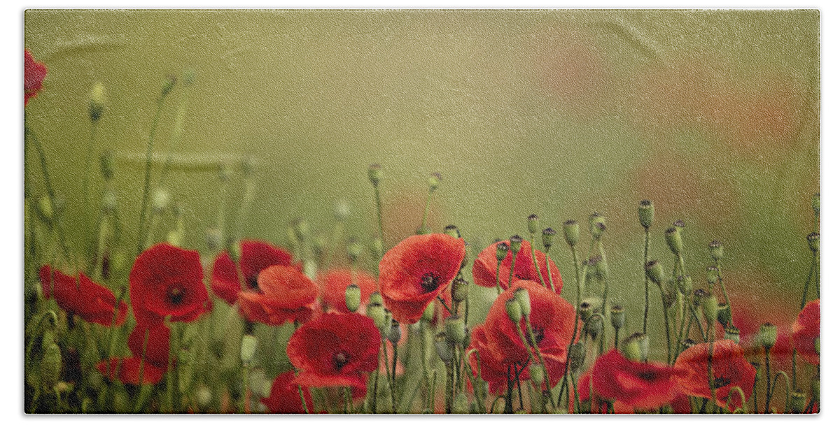 Poppy Bath Sheet featuring the photograph Poppy Meadow by Nailia Schwarz
