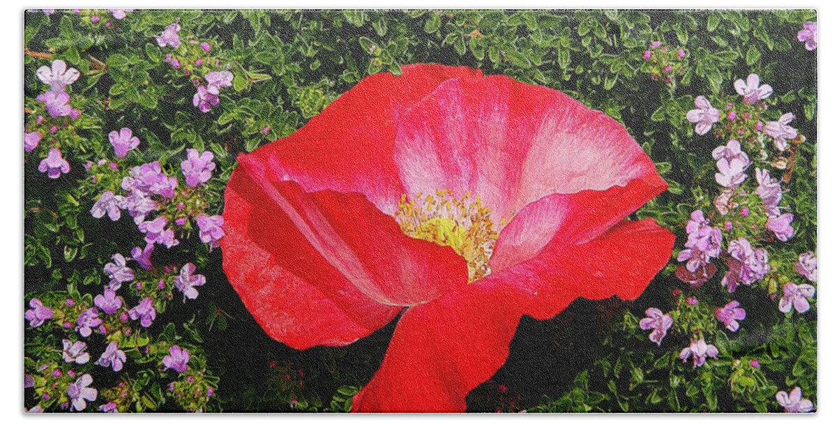Nature Bath Towel featuring the photograph Poppy on Thyme by Chris Berry
