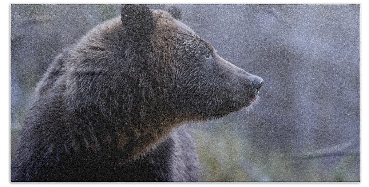 Bear Hand Towel featuring the photograph Portrait of a Grizzly by Bill Cubitt